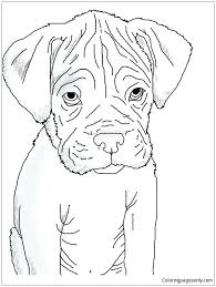 Some of the coloring page names are kitten and puppy coloring to coloring home, big dog coloring for kids supplyme, pin on nursery school, puppy coloring best coloring for kids, cute puppy coloring for girls at, animal coloring momjunction, puppy dog pals coloring rolly scribblefun puppy, puppy coloring best coloring for kids. Boxer Puppy 1 Coloring Pages Puppy Coloring Pages Coloring Pages For Kids And Adults