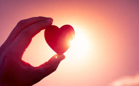 8.100.400+ Amor fotos de stock, imagens e fotos royalty-free - iStock