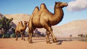 This page is a comprehensive list of every adoptable animal featured in planet zoo. Camel Revealed Too Planetzoo