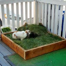 Bunny Balcony Kaninchen Meerschweinchen Haustiere