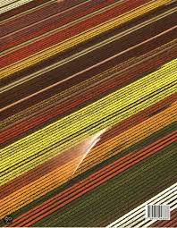 Pin Op Photographers Dutch