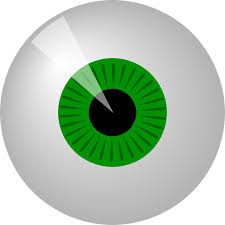 En la galería grande ojo png, todos los archivos se pueden utilizar con fines comerciales. Ojo Verde Ronda Graficos Vectoriales Gratis En Pixabay
