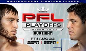 Jesse "Relentless" Stirn MMA Stats, Pictures, News, Videos, Biography