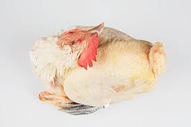 Maybe you would like to learn more about one of these? French Bresse Chicken On White Background Close Up Stockphoto