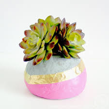 Succulent concrete container idea there are so many diy projects with concrete and these cute mini planters are one of my favorite. Faux Concrete Succulent Planters The Scrap Shoppe