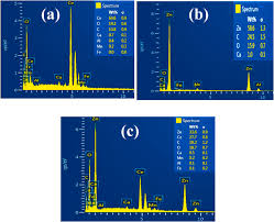 Image result for Sarcophrynium