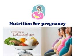 Nutrition Pregnancy