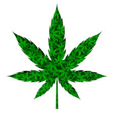 Weed Images - Free Download on Freepik