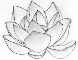Lotus Flower Design By Nikki96 On Deviantart Lotus Drawing Lotus Flower Drawing Lotus Flower Art
