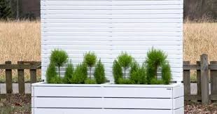 Pflanzkasten Holz Lang L Mit Sichtschutz Pflanzen Pflanzkasten Pflanzkasten Holz