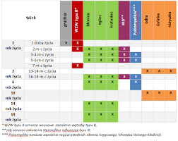 Kalendarz szczepień • zdrowie • pliki użytkownika viktus przechowywane w serwisie chomikuj.pl • kalendarz szczepien.pdf. Szczepienia