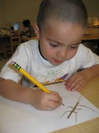 Arizona's School Readiness Framework