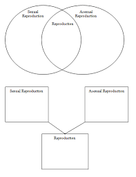 Types Of Reproduction Sas