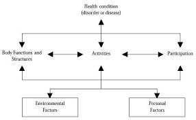International Classification Of Functioning Disability And Health Children And Youth Version Icf Cy Cp Engine Mcgill University
