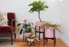 Modernica's case study ceramics® program connects architectural form with functional vessels. Flora Grubb Gardens X Modernica Case Study The Modern Pink Planter Flora Grubb Gardens