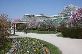 Botanischer garten münchen seit 1914 ist der botanische garten in nymphenburg zu hause. Datei Botanischer Garten Muenchen Gewachshauser Jpg Wikipedia