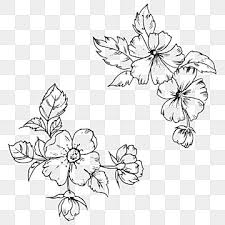 Hand Drawn Black And White Floral Cluster Illustration Png Element Line Art Flowers Png And Vector With Transparent Background For Free Download In 2020 Line Art Flowers Flower Line Drawings White