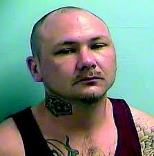 Dawsonville couple facing felony drug charges