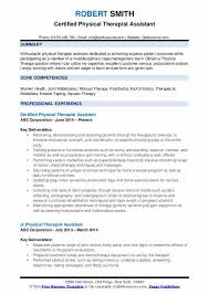 Sample medical cv magdalene project org. Physical Therapy Daily Note Example Document Warehouse