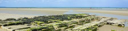 This version fixes a major bug that was found to effect the lost hero control from the previous release. Die Strande Der Normandie D Day Und Utah Beach Memorial