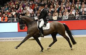 Includes address (12) phone (10) email (8) see results. Dressage Star Edward Gal Injured In Fall Horse Hound