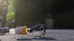 Stupid Bird From Finding Dory Https Encrypted Tbn0 Gstatic Com Images Q Tbn 3aand9gcrgo Aj Yq7fjxhbakrss Nykoxiapm9wejzq Usqp Cau