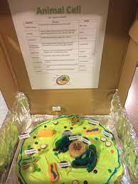 Check spelling or type a new query. Animal Cell With Key Cell Model Animal Cell Edible Cell Project