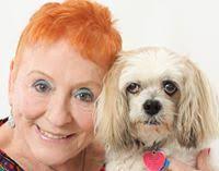 Cracks by Jane Ellen Glasser