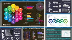 Use Business Analyst Infographics In Your Custom Applications