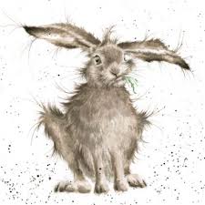 page not found animal paintings rabbit art bunny art