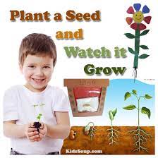 Growing plant seeds with kids. Plant A Seed And Watch It Grow Kidssoup