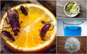 Pin On Home Remedies