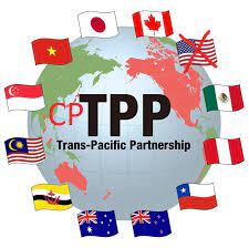 Members.com is an exclusive shopping club that offers deals with up to 80% off on some of. Importance Of Cptpp Kepdowrie Chambers