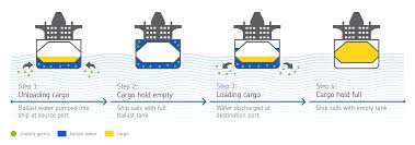Ballast Water Management System Amarine