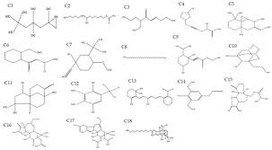 Molecules Free Full Text Xanthine Oxidase Inhibitory Activity Chemical Composition Antioxidant Properties And Gc Ms Analysis Of Keladi Candik Alocasia Longiloba Miq Html
