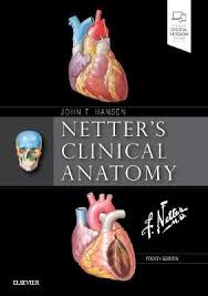 Neurosciences at umhs and chairman of the board for clerisy corp. Netter S Clinical Anatomy John T Hansen Paperback Abe Pl