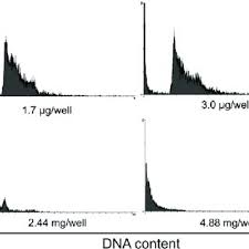 Image result for Synadenium glabratum