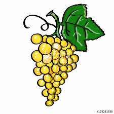 Pikpng encourages users to upload free artworks without copyright. Grapes Clipart Yellow Grapes Yellow Transparent Free For Download On Webstockreview 2021