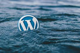 WordPress Mobile App Issue | Username Not Associated