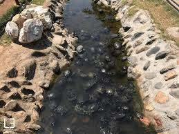 Maybe you would like to learn more about one of these? Thes Xelwnes Soylatsaroyn Anemela Sto Kentro Ths 8essalonikhs Binteo