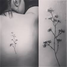 Illustration botanique illustration blume botanical illustration flower wreath illustration flower illustrations flower outline flower art gypsophila tattoo baby breath. Prophecy Ink On Twitter Look At Kelly S Creature Fear Baby S Breath Tattoo From Today Lessismore Tattooshopsinlouisville Prophecyink Femaletattooer Https T Co Gmphppicjv