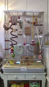Twitter Pet Bird Cage Bird Cage Decor Vision Bird Cage