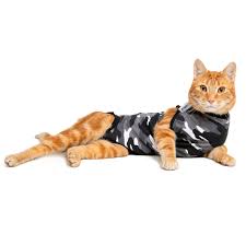 Cat Professional Recovery Suit For Abdominal Wounds Or Skin