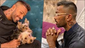 This tattoo is hardik's favourite one among all his tattoos. Hardik Pandya Gets New Tattoos Indian Cricketer Inks Cute Paw Prints And Peace Sign Tattoos On Neck See Pics Latestly