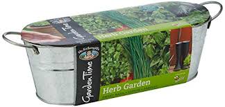 mr fothergill's 24804 garden time herb