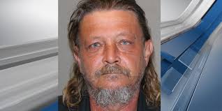 Man pleads guilty to fatal hit and run in Paris