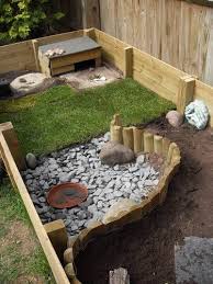 Crazy Critters Archives Dontpokethebear Com Tortoise House Tortoise Care Tortoises