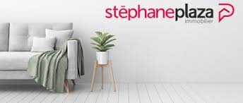 Agence immobilière de l'année : Stephane Plaza Immobilier Agence Immobiliere De L Annee 2020 2021
