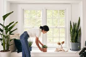 Get planting and care tips from master gardeners on every plant in your garden, from annual and perennial flowers to trees and shrubs. Plant Mom Tips The Beginner S Guide To Houseplants Bloomscape