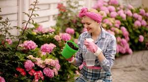 Fill the pot or planter about two. Girl Plants A Flowers In Stock Footage Video 100 Royalty Free 1027179254 Shutterstock